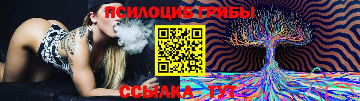 Черняховск  Галлюциногенные грибы мицелий  сколько стоит  Галлюциногенные грибы мицелий  Вход с VPN 